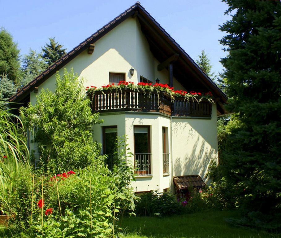 Ferienwohnung Ginkgo Дрезден Стая снимка